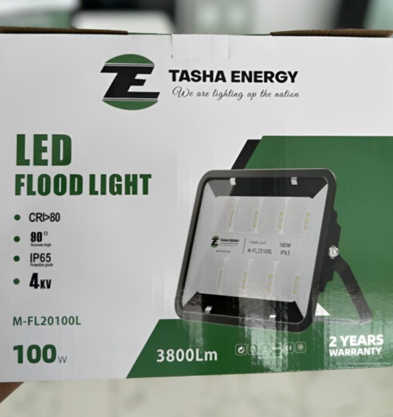 100W Electric Led Floodlight
