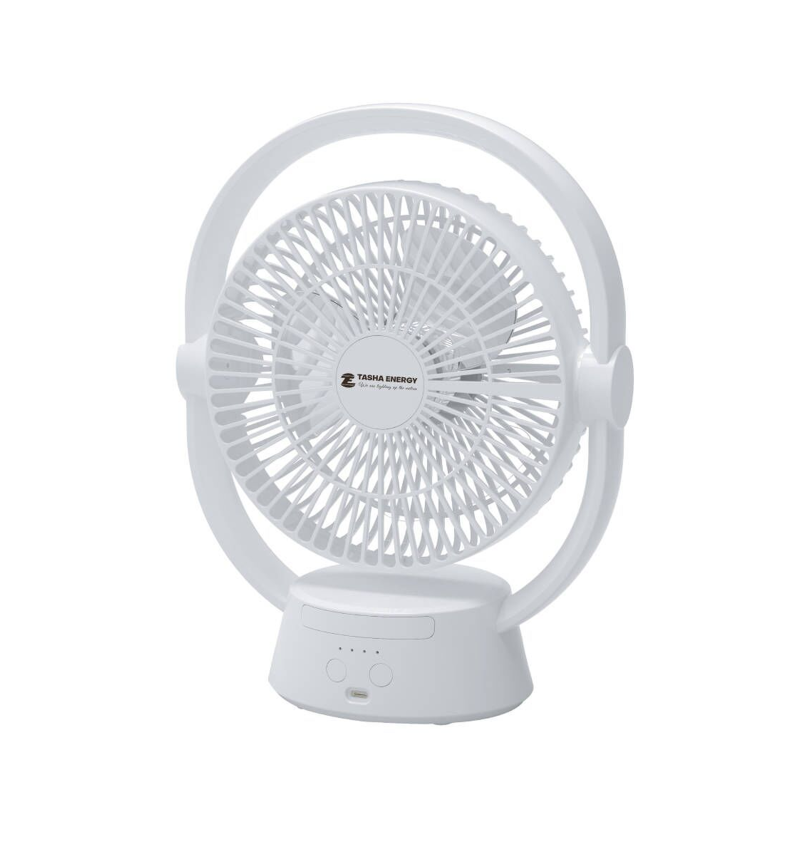Te618 8”  Rechargeable Fan